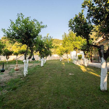 To Ktimataki Villa Agios Gordios  Eksteriør billede