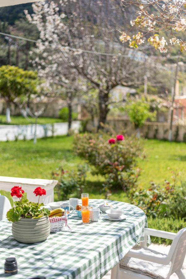 To Ktimataki Villa Agios Gordios  Eksteriør billede