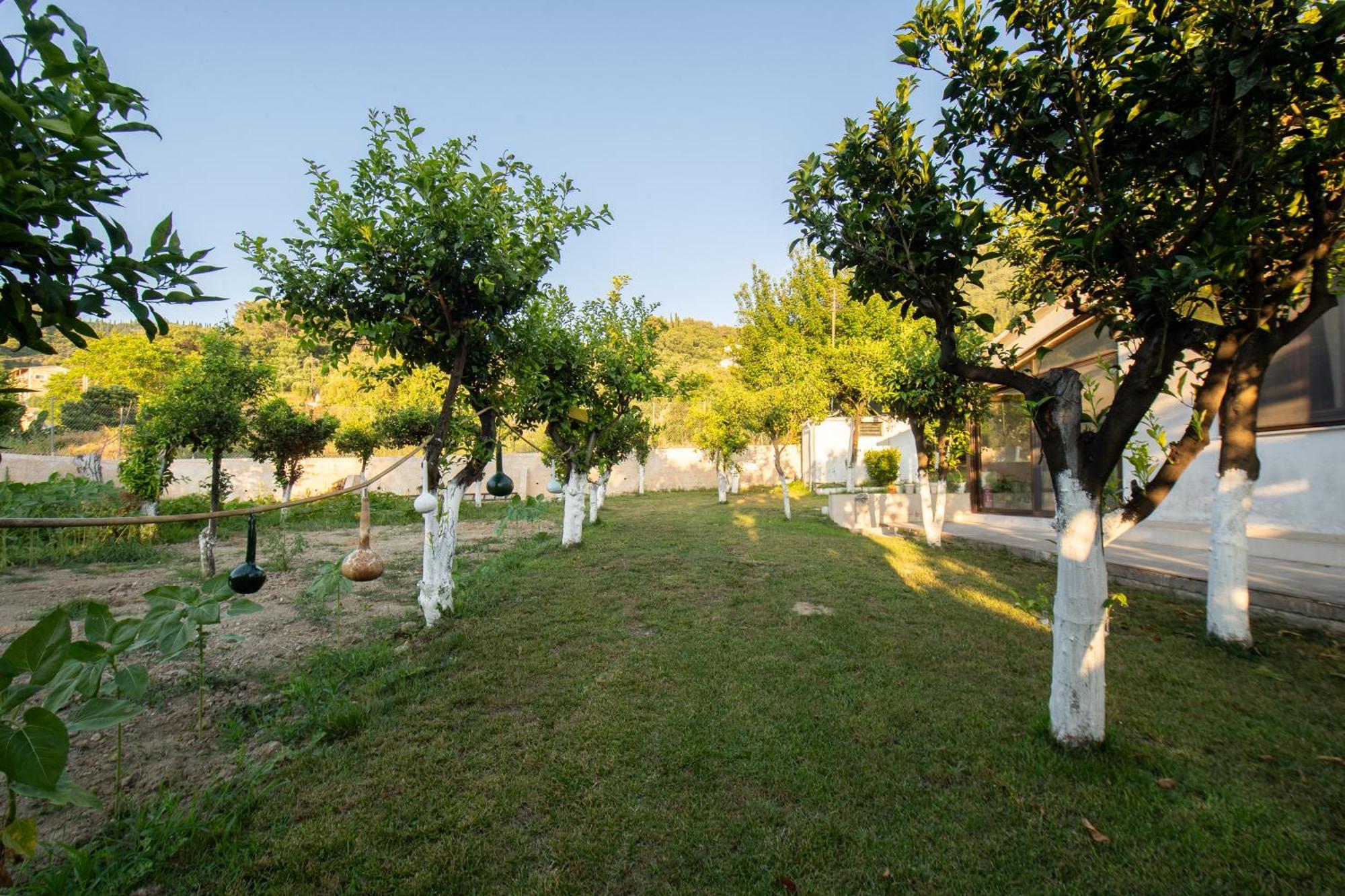 To Ktimataki Villa Agios Gordios  Eksteriør billede